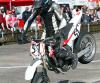 Bilder 2011